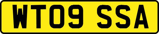 WT09SSA