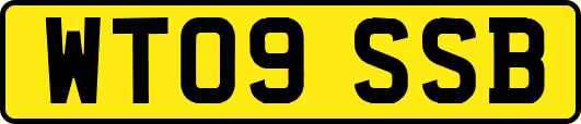 WT09SSB