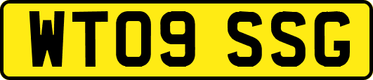 WT09SSG