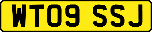 WT09SSJ