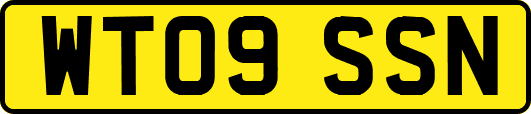 WT09SSN