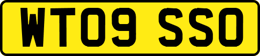 WT09SSO