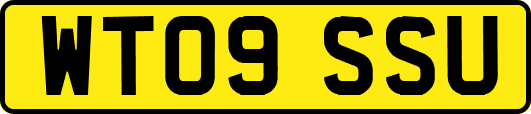 WT09SSU
