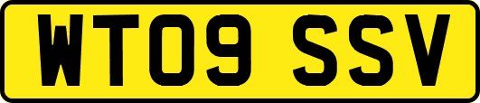 WT09SSV