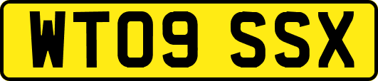 WT09SSX