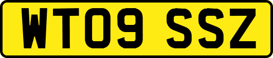 WT09SSZ