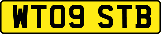 WT09STB