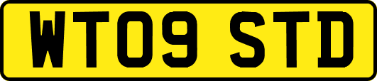 WT09STD