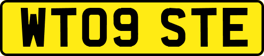 WT09STE