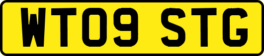 WT09STG