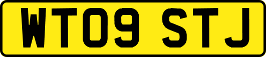 WT09STJ