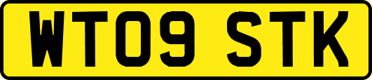 WT09STK