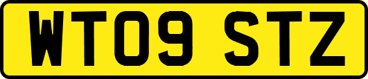 WT09STZ