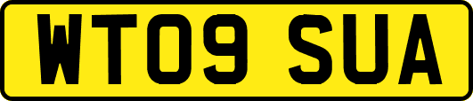 WT09SUA