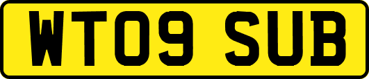 WT09SUB