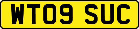 WT09SUC