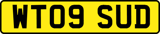 WT09SUD
