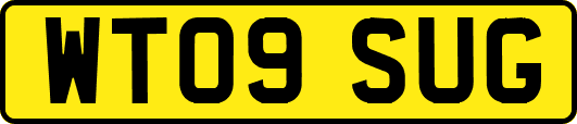 WT09SUG