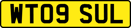 WT09SUL