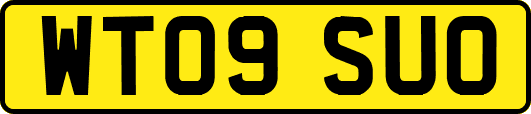 WT09SUO