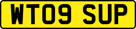 WT09SUP