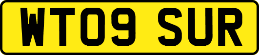 WT09SUR