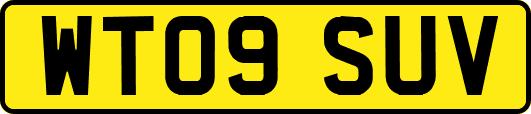 WT09SUV