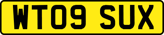 WT09SUX