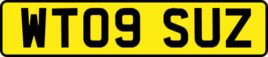 WT09SUZ