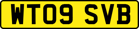 WT09SVB