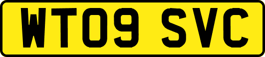 WT09SVC