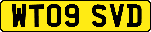 WT09SVD