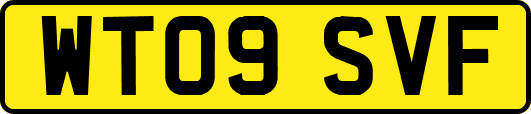 WT09SVF