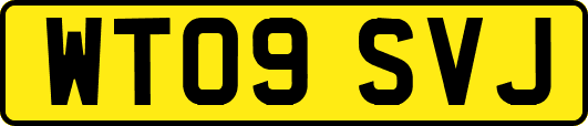 WT09SVJ