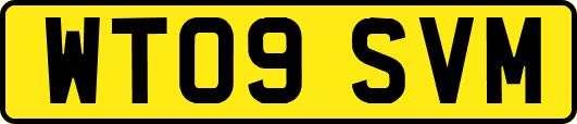 WT09SVM