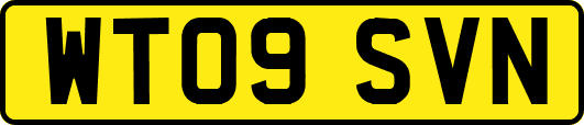 WT09SVN