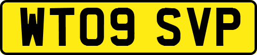 WT09SVP
