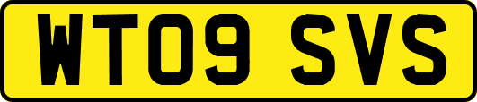 WT09SVS
