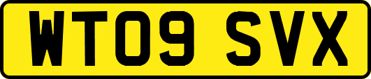 WT09SVX