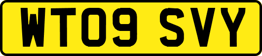 WT09SVY