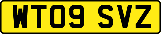 WT09SVZ