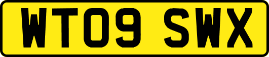WT09SWX