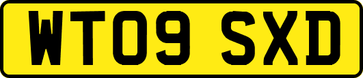 WT09SXD