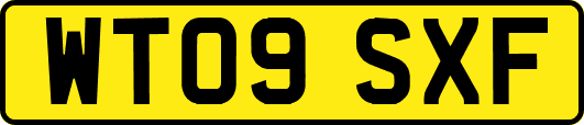 WT09SXF