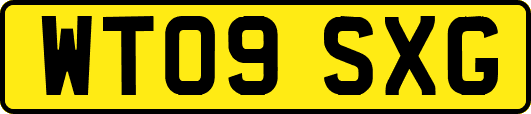 WT09SXG
