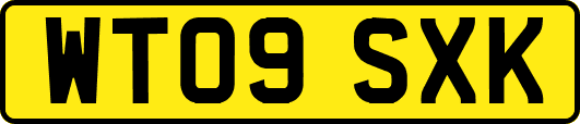 WT09SXK