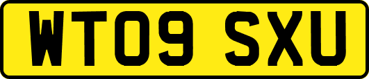 WT09SXU