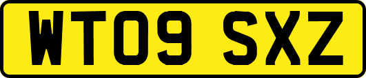 WT09SXZ