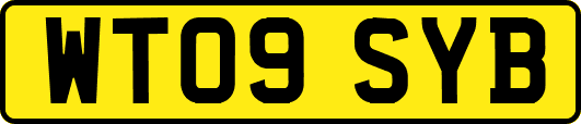 WT09SYB