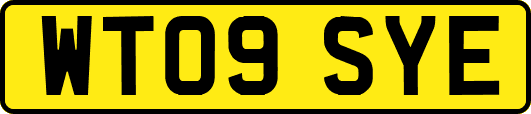 WT09SYE